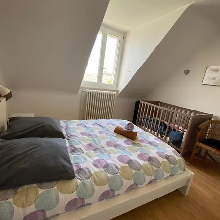 Bookingalsace - Maison Mittelharth Parking Jardin Holiday home *