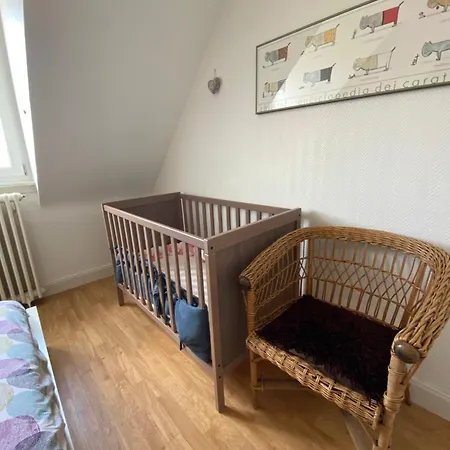 Bookingalsace - Maison Mittelharth Parking Jardin Κολμάρ