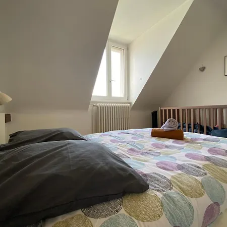 Bookingalsace - Maison Mittelharth Parking Jardin * 콜마