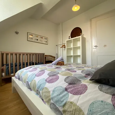 Bookingalsace - Maison Mittelharth Parking Jardin 펜션