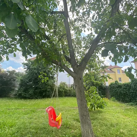 Bookingalsace - Maison Mittelharth Parking Jardin 펜션 *