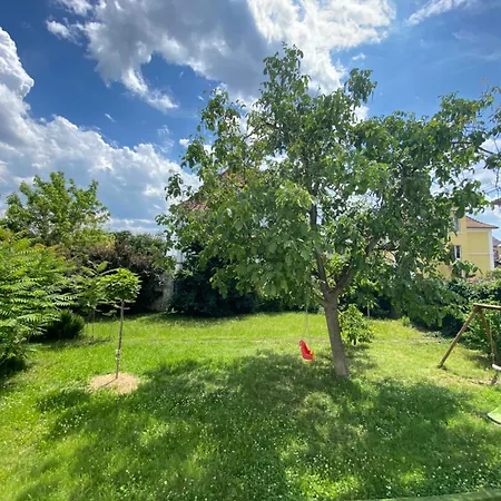 Holiday home Bookingalsace - Maison Mittelharth Parking Jardin *