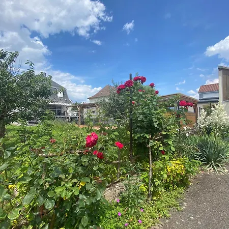 Bookingalsace - Maison Mittelharth Parking Jardin Hébergement de vacances Colmar