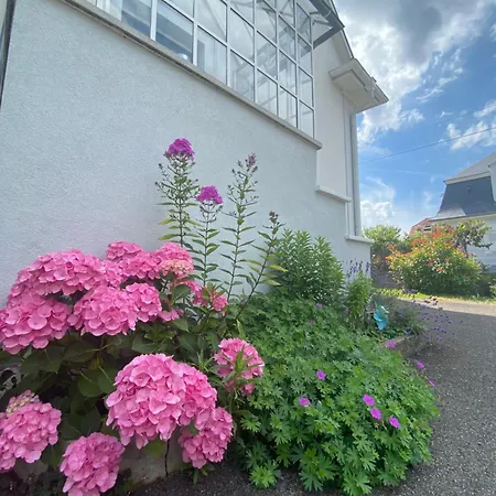 Bookingalsace - Maison Mittelharth Parking Jardin * Colmar